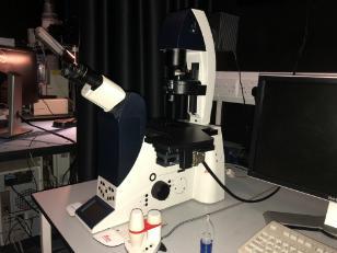 Leica DM16000 B Fully Automated Inverted Microscope