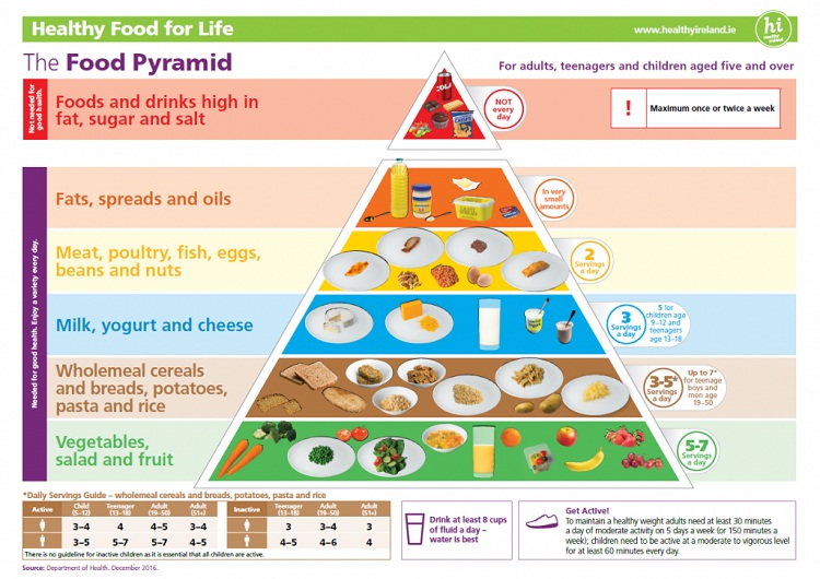 food pyramid