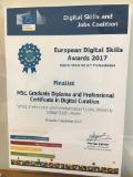 Digital Skills Finalist