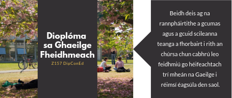 Dioplóma sa Ghaeilge Fheidhmeach. Beidh deis ag na   rannpháirtithe a gcumas   agus a gcuid scileanna   teanga a fhorbairt i rith an chúrsa chun cabhrú leo   feidhmiú go héifeachtach   trí mheán na Gaeilge i   réimsí éagsúla den saol