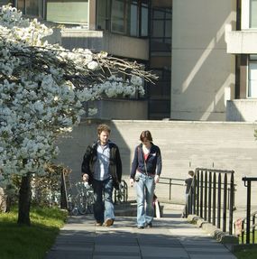 Undergraduate Programmes