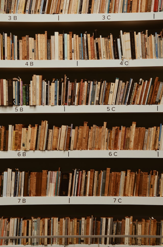 Library Shelves with rows of books