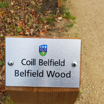 English and Irish signage in University College Dublin