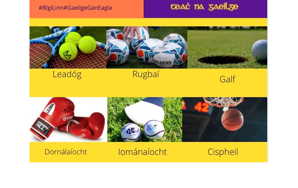 Student Projects Sport with Teach na Gaeilge UCD