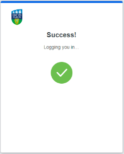 VPN Success screen