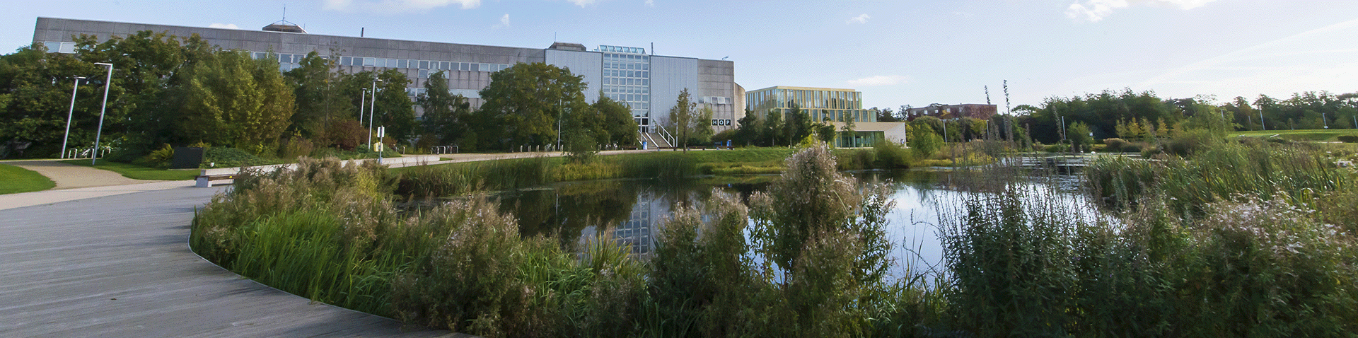 View of UCD Campus