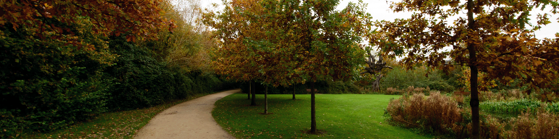 UCD Campus in autumn
