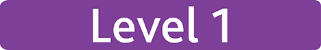 Level 1