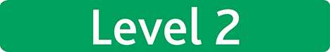 Level 2
