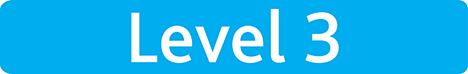 Level 3