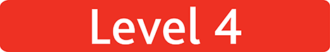 Level 4