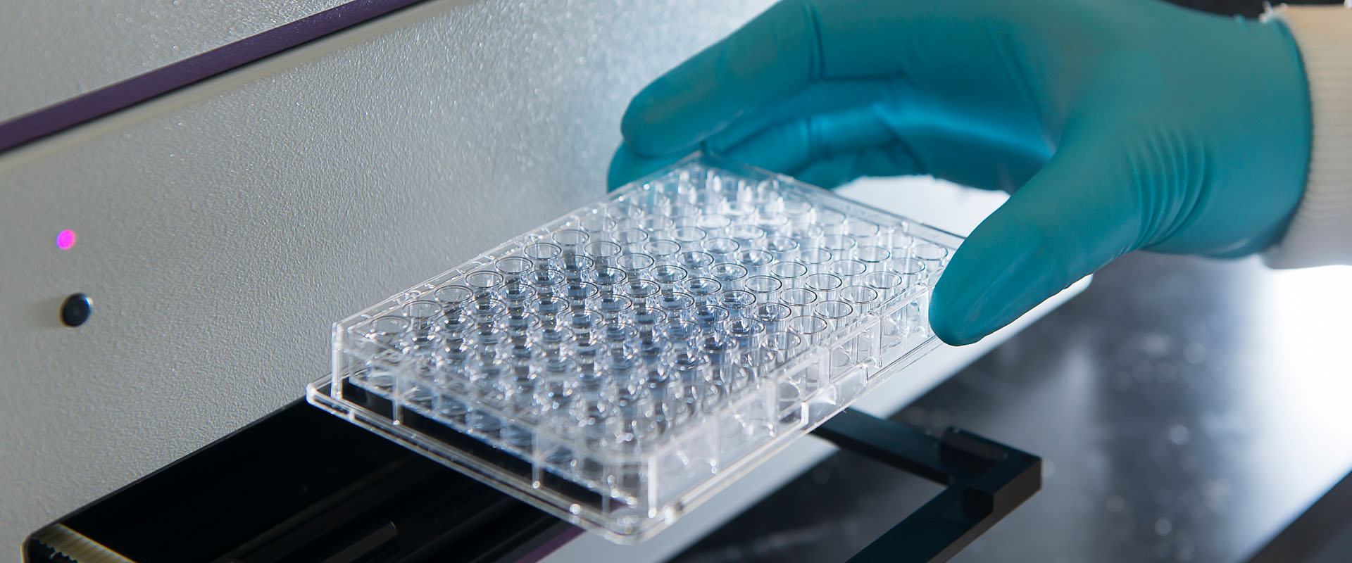 Close up of a science researcher holding equipment