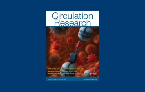 Macrophage DNases Limit Neutrophil Extracellular Trap–Mediated Defective Efferocytosis in Atherosclerosis