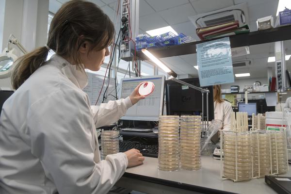 Woman sitting at desk looking at petri dish
