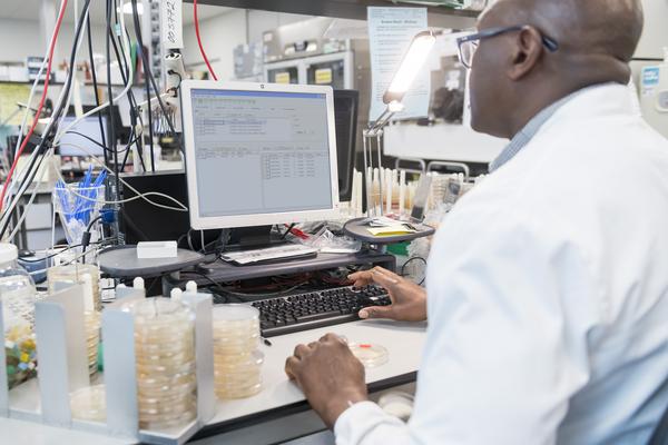 Man sitting at computer with petri dishes on desk