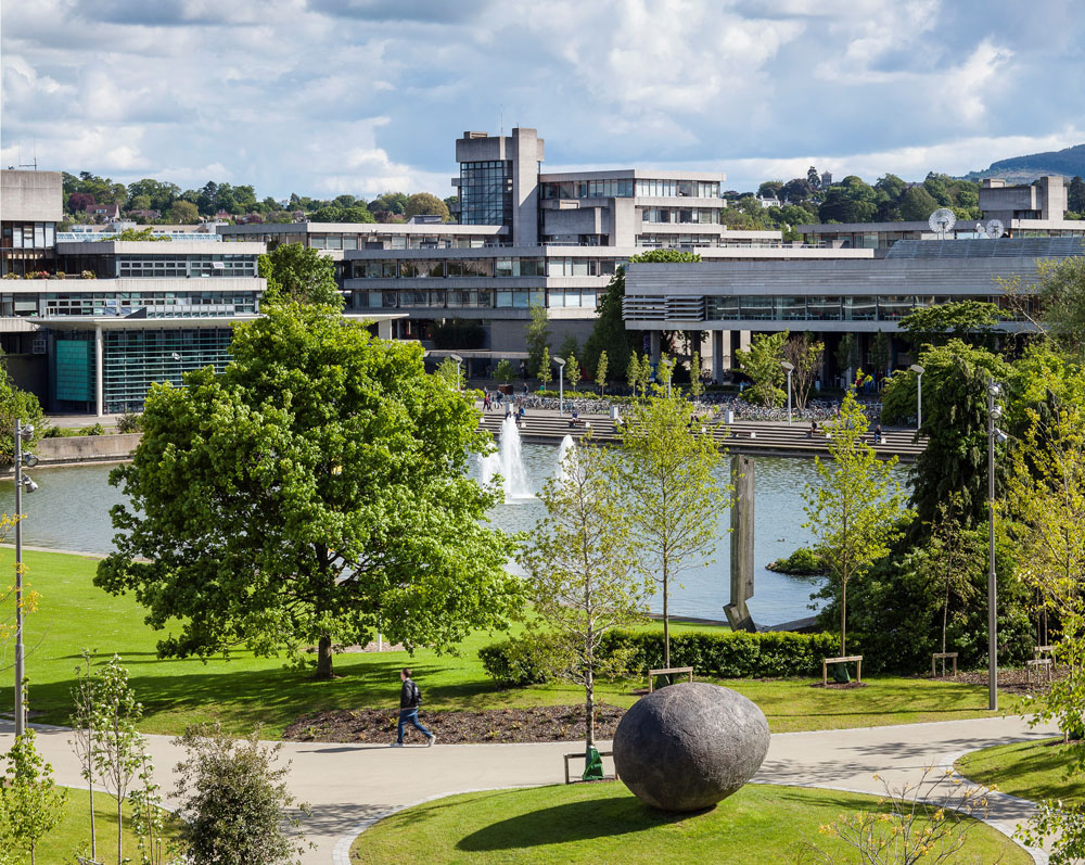 Fourteen UCD Research Projects Secure €10.2 million in Funding through the SFI Frontiers for the Future Programme