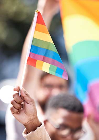 People waving rainbow flags.