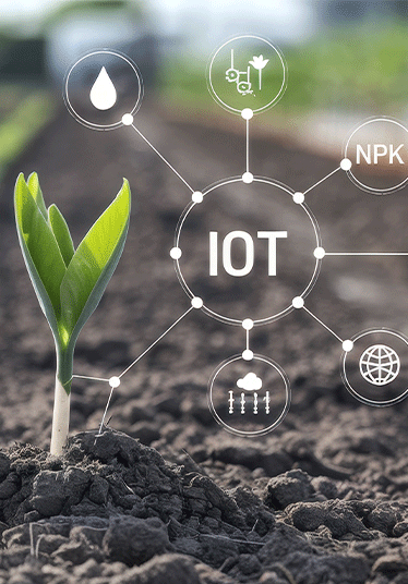 IoT technology enhancing plant growth in agriculture
