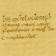 Mícheál Ó Cléirigh's Signature