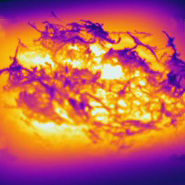 Oxygen theory of mass extinction questioned by new research findings