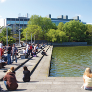 Voting underway in Graduate Panel Election to UCD Governing Authority