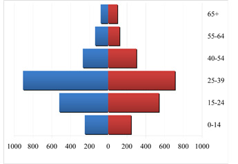 North Docklands (Inner City) population age profile - 2006