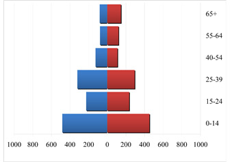 North Docklands (Inner City) population age profile - 1986