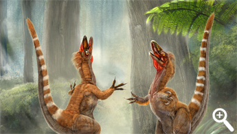 Artist's impression of two Sinosauropteryx - Feather-like structures in fossils of the dinosaur suggest it had reddish-brown and white tail stripes. 