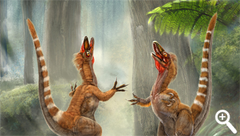 Artist's impression of two Sinosauropteryx - Feather-like structures in fossils of the dinosaur suggest it had reddish-brown and white tail stripes.
