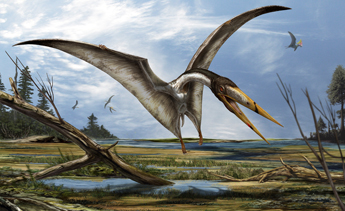 An artists impression of Alanqa saharica, the newly identified pterosaur which lived 95 million years ago in the Kem Kem region of the Sahara on the border of present day Morocco and Algeria - Artist's impression by Davide Bonadonna