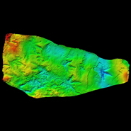 History of bird life on earth slashed by 25 million years