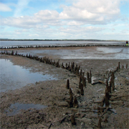 Irish medieval fishing site will be ‘lost to the tide’