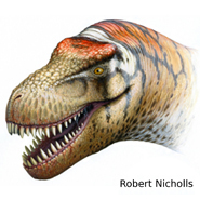 Zhuchengtyrannus magnus (illustration by Robert Nicholls)