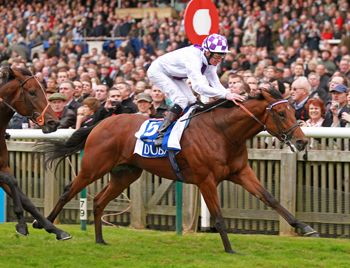Parish Hall wins the Group 1 Dubai Dewhurst Stakes at Newmarket in October 2011 for owner/breeder/trainer Jim Bolger. Northern Dancer is prominent on both the sire and dam side of his pedigree. Credit: Trevor Jones, Thoroughbred Photography Ltd