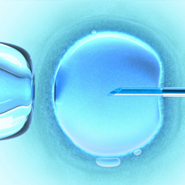 Five new spin-out companies established at UCD during 2011