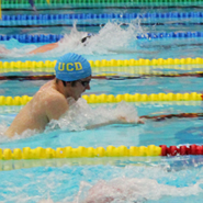 Three team trophies for UCD at Irish Swimming and Lifesaving Intervarsities