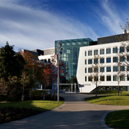 UCD ranked in top in top 200 for 22 subjects out of 30 categories in QS World University Rankings