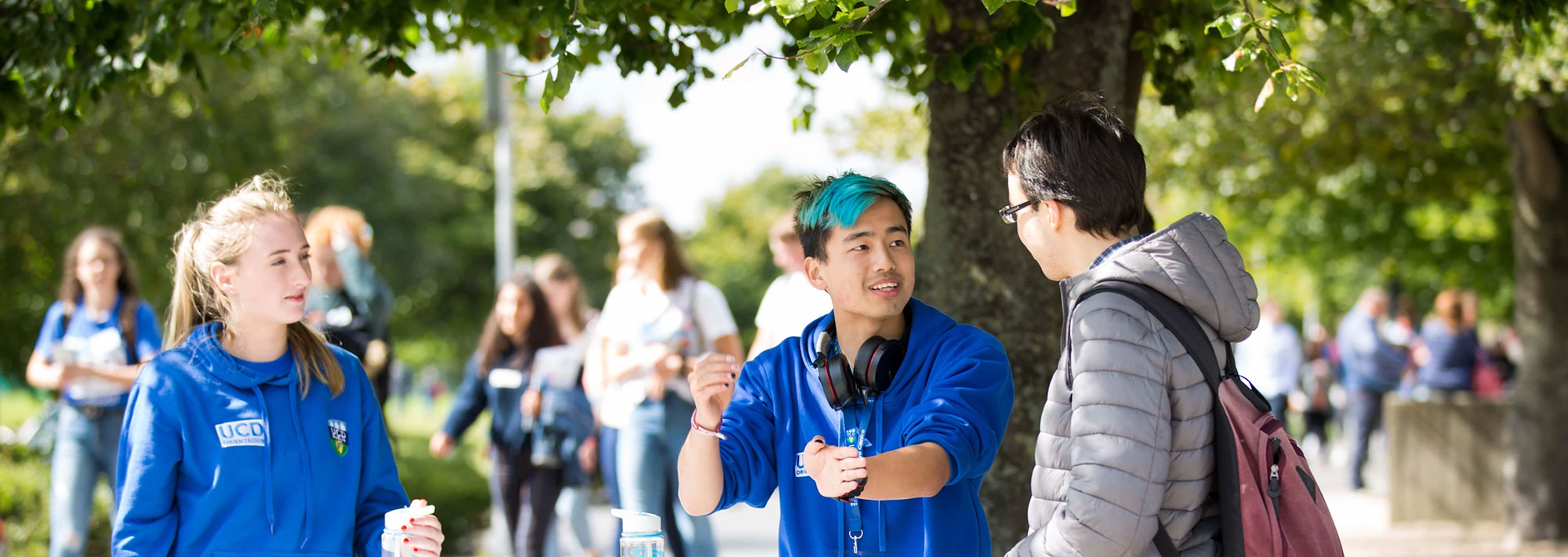 UCD New Students