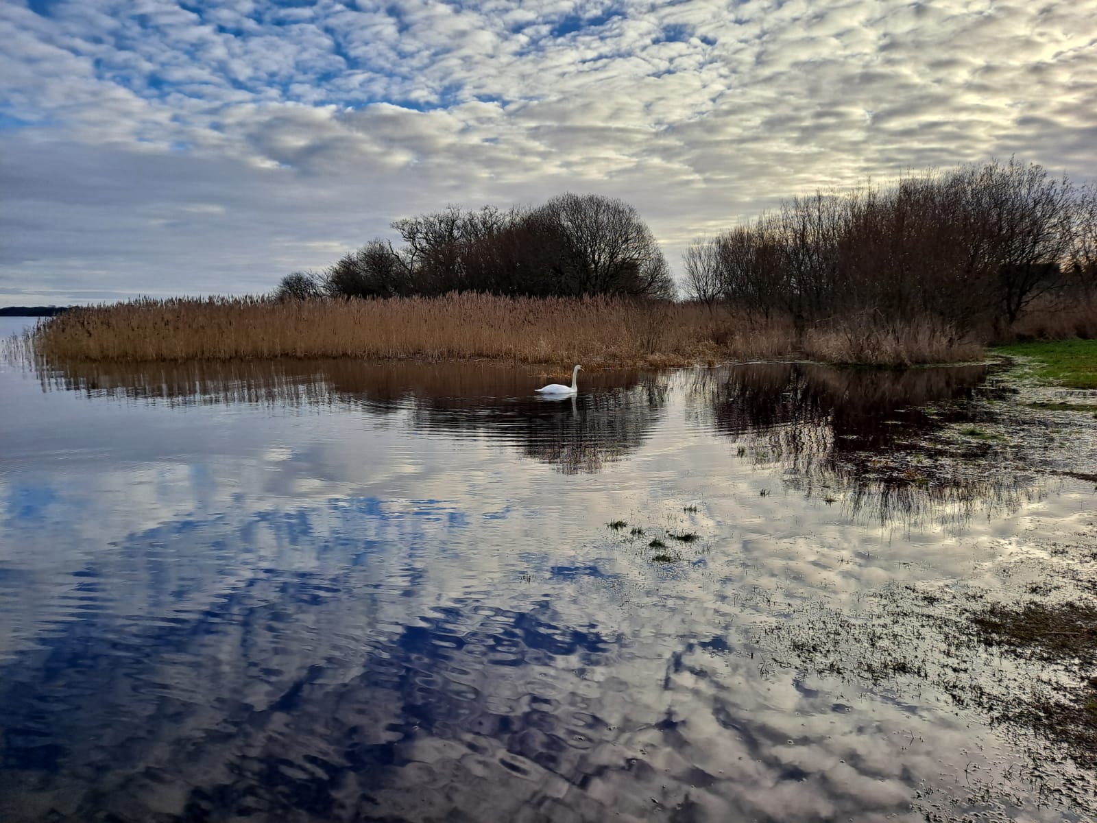 environment