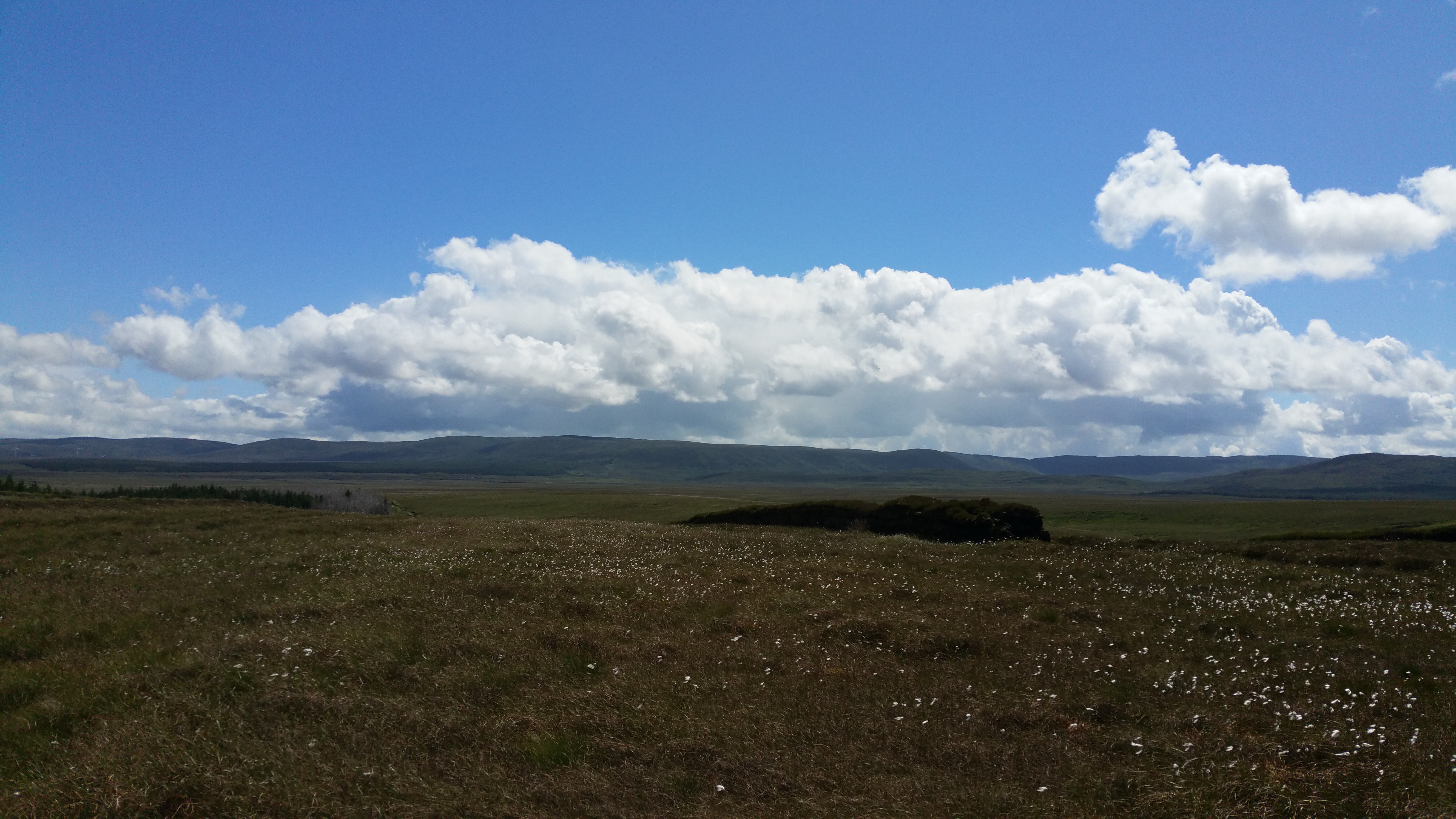 Ox mountains peatlands