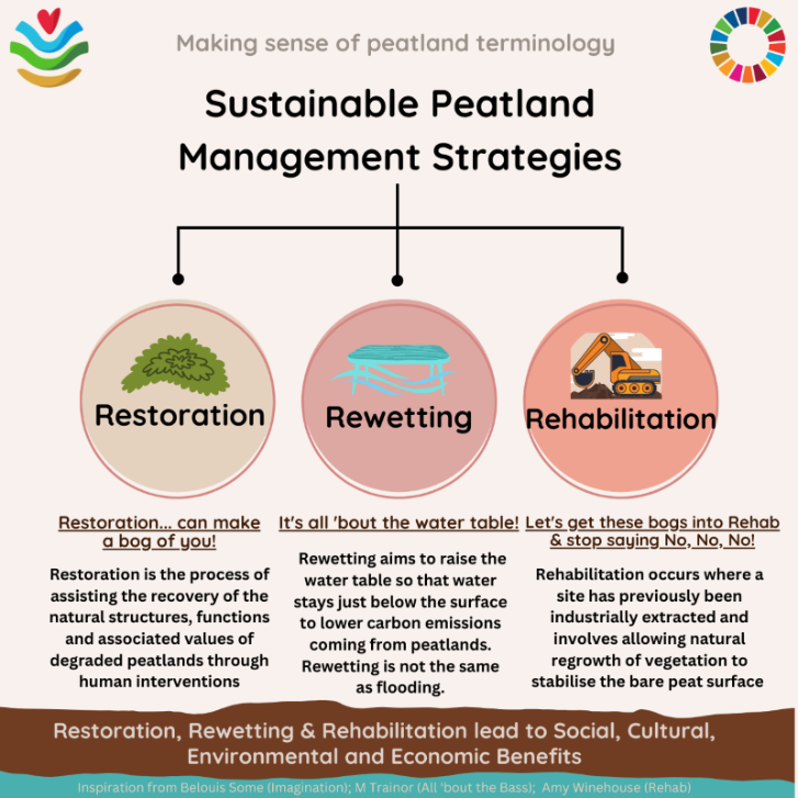 Sustainable Peatland Management Strategies Infographic: Restoration, Rewetting and Restoration