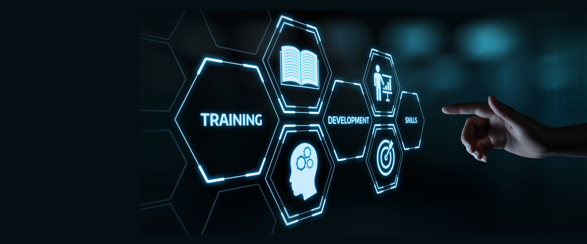 Our Services