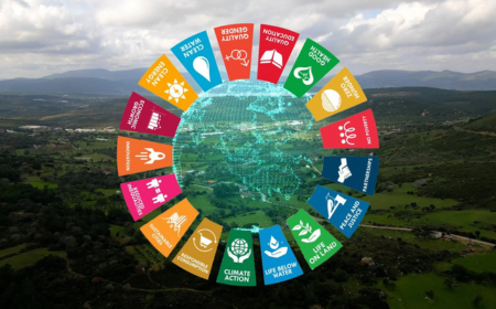 Image of green fields overlaid with Sustainable Development Goals displayed in a circle