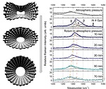 Deformation recovery dynamics in carbon nanotubes