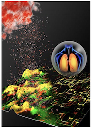 Physics helps to predict nanomaterials toxicity