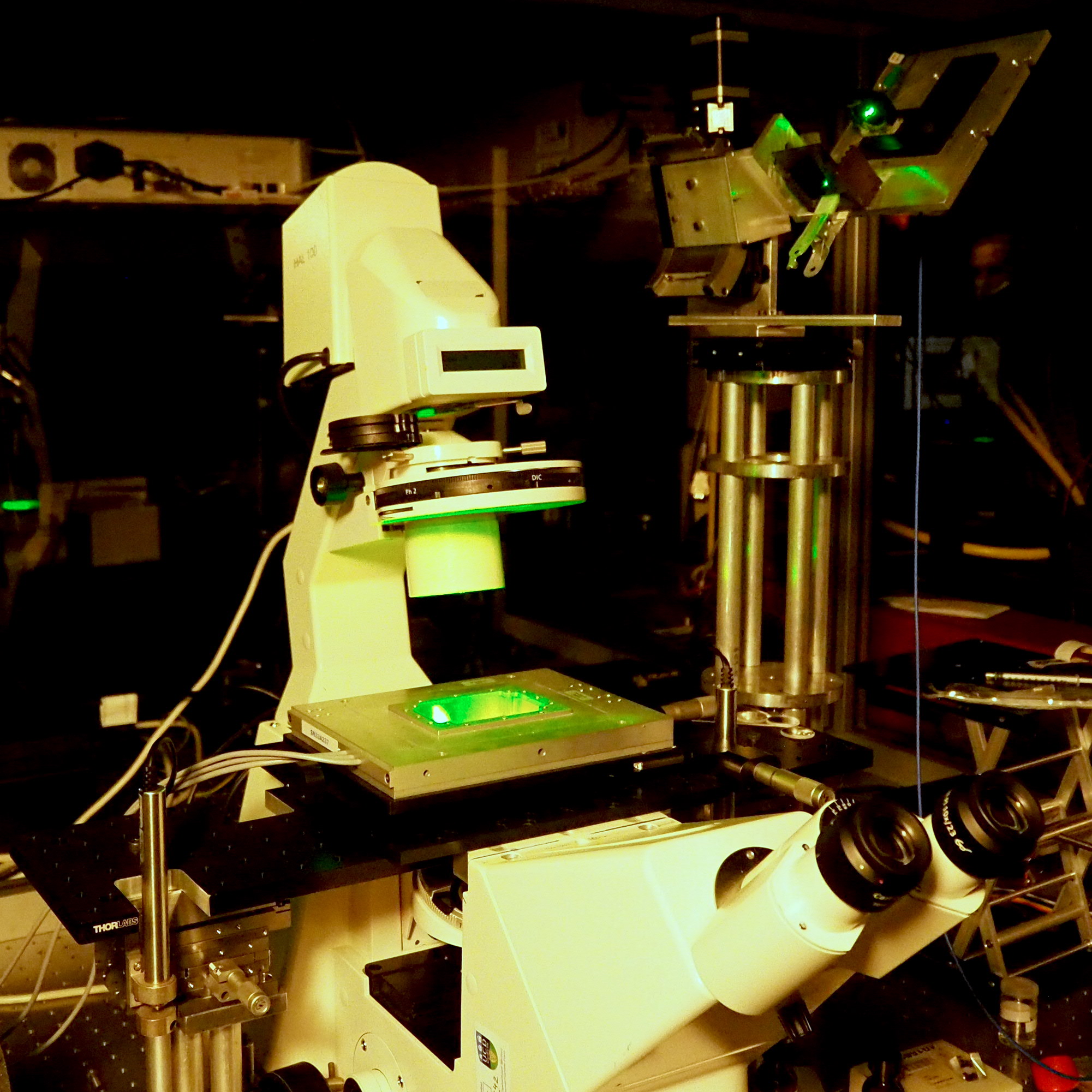 Plasmoinc Electronically Addressable Superresolution 