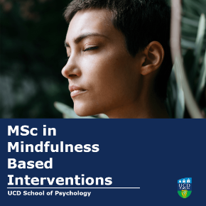 Face looking right with test MSc in Mindfulness Based Interventions UCD School of Psychology