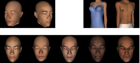 Perception of Head and Body Orientation