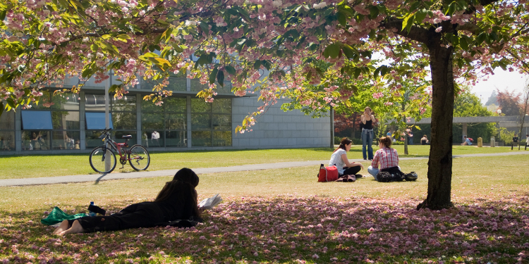 campus relaxing image