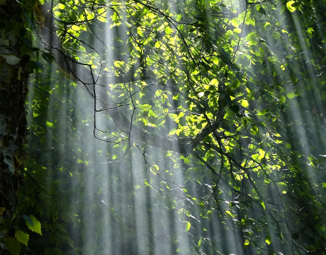 Bringing academics, artists, local residents, and place-based community organisations together to ensure that strategies for developing urban environments meet the needs of local communities.